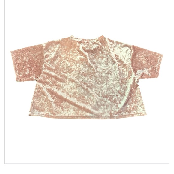 Urban Outfitters Pink Velvet Short Sleeve Tee - Picture 2 of 3